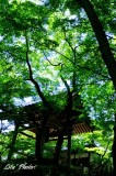 DSC_3126.jpg