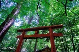 DSC_3175.jpg