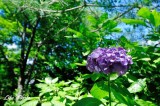 DSC_3200.jpg