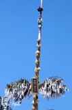 DSC_3555.jpg