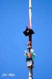 DSC_3559.jpg