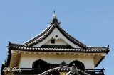 DSC_4185.jpg