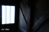 DSC_4273.jpg