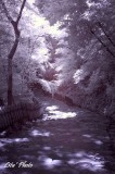 DSC_4940.jpg