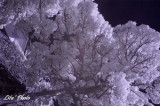 DSC_4941.jpg