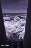 DSC_5006.jpg