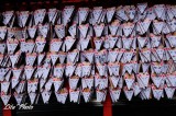 DSC_4392.jpg