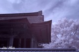 DSC_5087.jpg