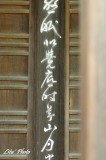 DSC_4899.jpg
