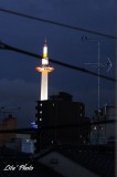 DSC_4909.jpg