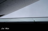 DSC_4971.jpg
