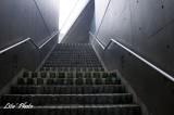 DSC_5028.jpg