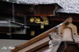 DSC_5091.jpg