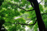 DSC_5109.jpg