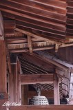 DSC_5148.jpg