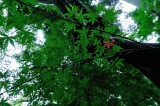 DSC_5185.jpg