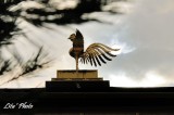 DSC_5265.jpg