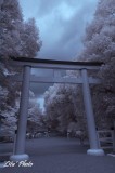 DSC_5164.jpg