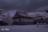 DSC_5171.jpg