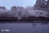 DSC_5201.jpg