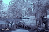 DSC_5284.jpg