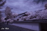 DSC_5313.jpg