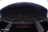 DSC_5347.jpg