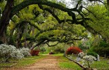 Grace Episcopal Church Cemetary  01