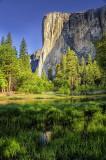 Yosemite 11.jpg