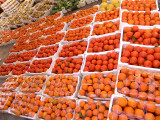 008 Food Market.jpg