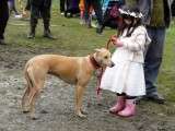 Welcome Back To Canine Friends
