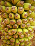 Bananas 1.jpg