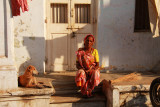 Ahmedabad woman and dog.jpg