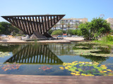 pond lilies at Rabin Square