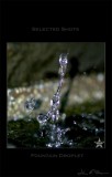 Fountain Droplet