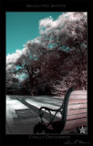 Chilly December