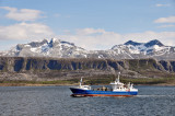 Near Hamn