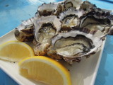 Fresh Oysters from farm