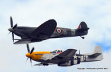mustang and spitfire