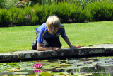this is Liam looking for frogs