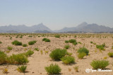 Desert between Hamata and Shalateen
