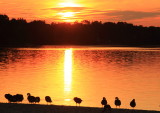 sunset at lake ronkonkoma