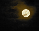 Tonights full moon