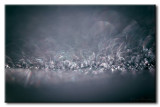 Neige