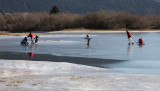 Cerknica lake at the winter (IMG_6783ok.jpg)