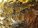 Honey in the glass (IMG_0019ok.jpg)
