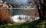 Lake in Fijesa (IMG_5731ok copy.jpg)