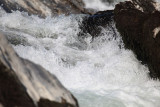 IMG_9748ok.jpg