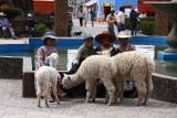 Chidren and alpacas - Peru (IMG_4445ok.jpg)