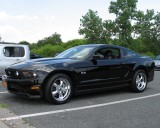 Pony Car
